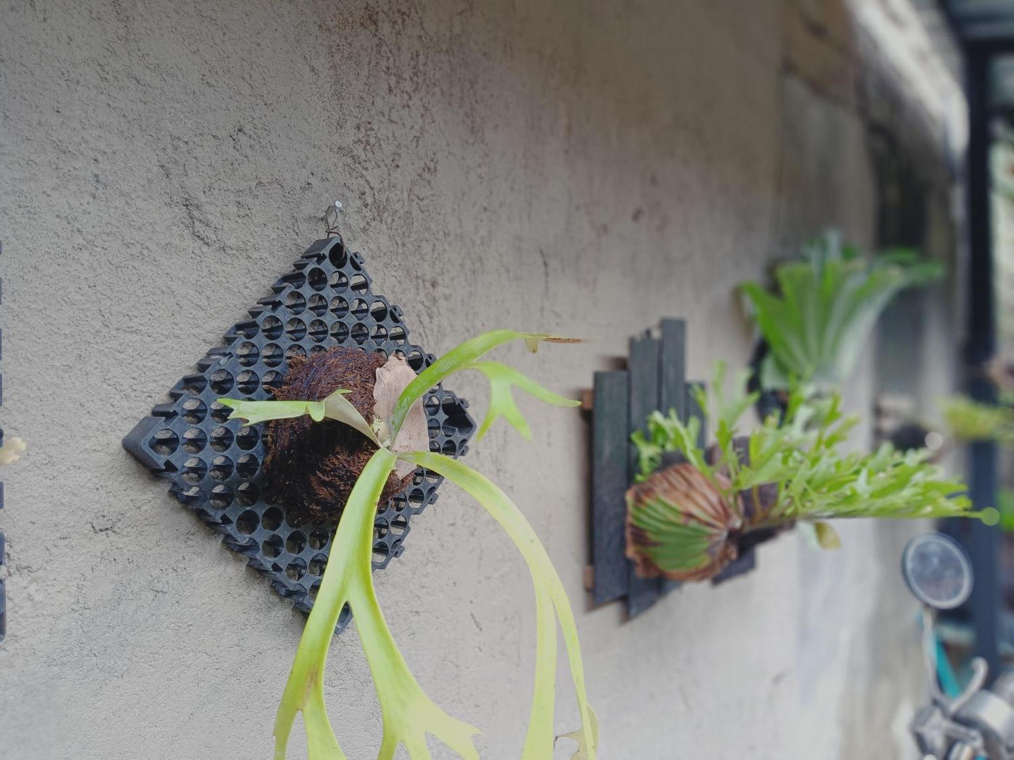 Sudana Homestay Ubud Dış mekan fotoğraf