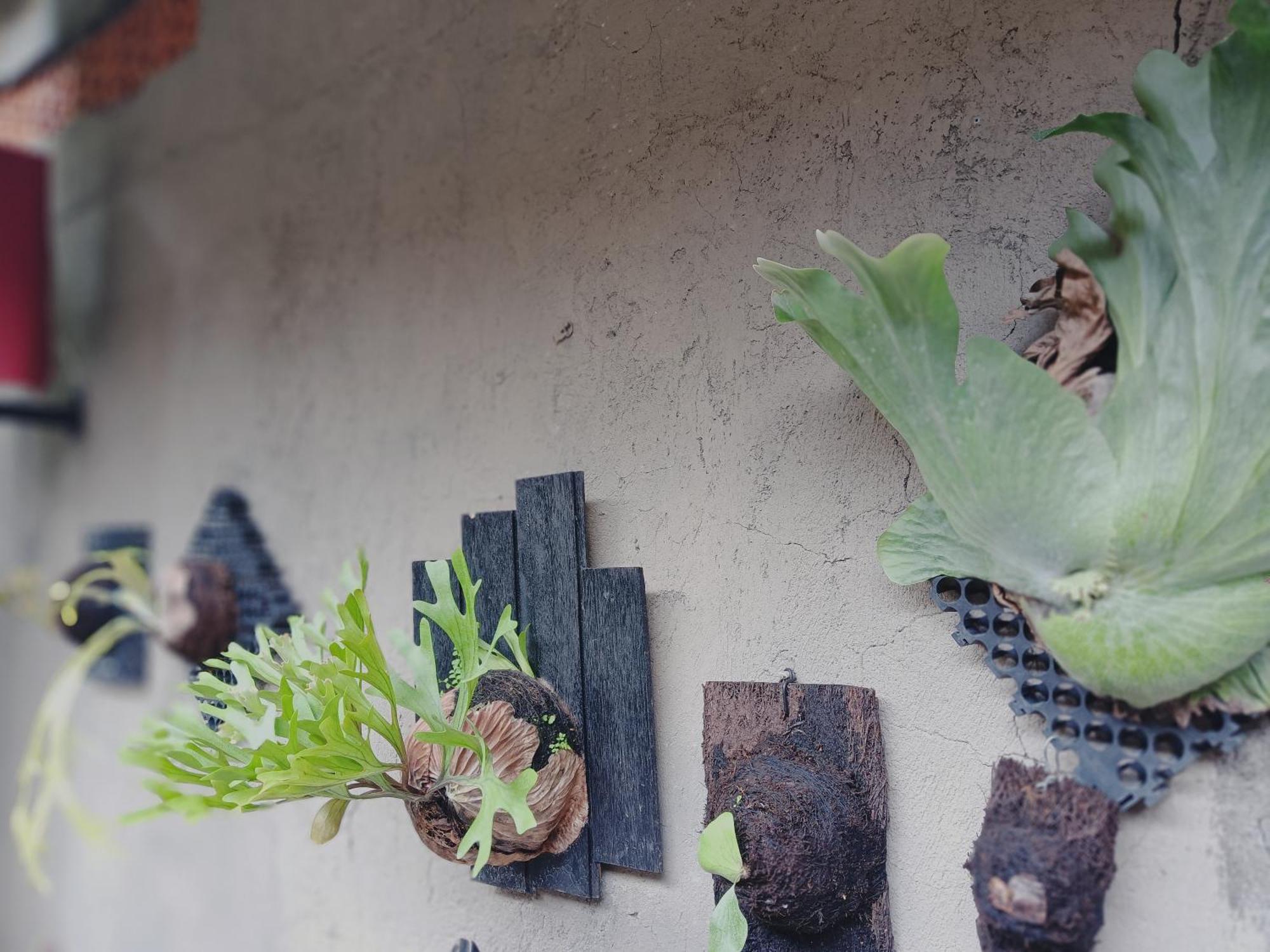 Sudana Homestay Ubud Dış mekan fotoğraf